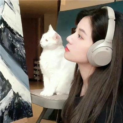 翅膀下的风